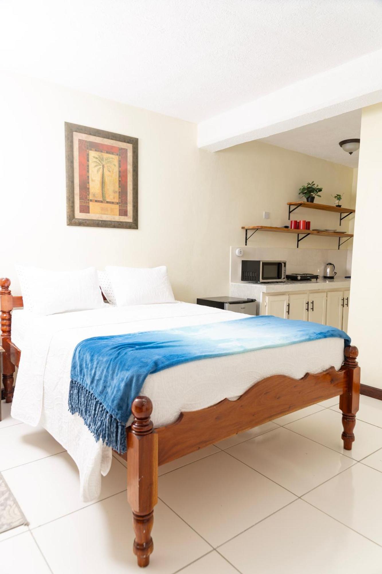 La Maison 29 Roseau Kültér fotó